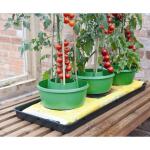 Plant- en gietpot groen (3 stuks)