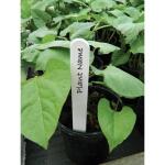 Plantenlabels wit kunststof - 20 cm (20 stuks)