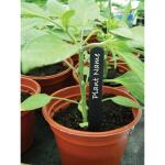 Plantenlabels zwart kunststof - 20 cm