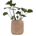 Plantenpot Pia hout - 23,5 x 23,5 cm