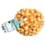 Pootgoed uien Stuttgarter Riesen - 250 gr