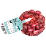 Pootgoed uien Red Karmen - 250 g