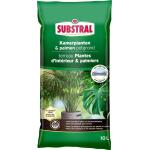 Substral potgrond kamerplanten en palmen - 10 L