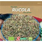 Rucola spruiten - kiemgroente Bio