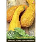 Squash Summer Crookneck (special)