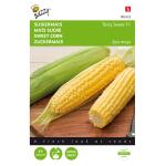 Buzzy Seeds suikermaïs Tasty Sweet F1 - Zea mays