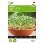 Tuinkers Gewone - Lepidium sativum