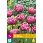 Tulipa Double Lilac (15 stuks)