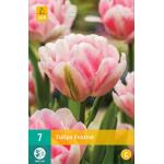 Tulipa Foxtrot - dubbelvroege tulp (7 stuks)