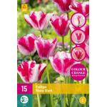 Tulipa Mata Hari - Triumph (15 stuks)