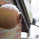 Nestpot terracotta mezen en mussen