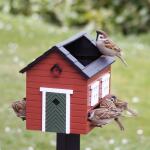 Voederhuis met bad rood