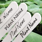 Waterbestendige stift voor plantenlabels - zwart