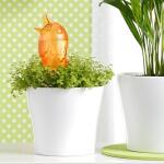 Gietsysteem potplanten vogeltje oranje - 220 ml