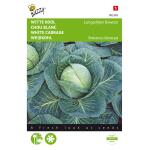 Witte Kool Langedijker Bewaar - Brassica oleracea