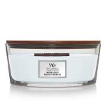 Woodwick Ellipse candle - Magnolia Birch