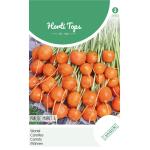 Wortelen Parijse Markt 2 - Daucus carota