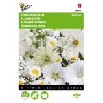 Zomerbloemen witte tinten