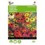 Buzzy Seeds zonnehoed - Rudbeckia Cheyenne Spirit